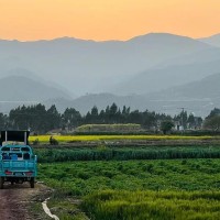 二手农用三轮车转让，柴油动力，爬坡力强，拉货必备！