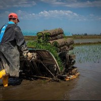 二手高速插秧机转让，洋马品牌，作业效率高，价格实惠！