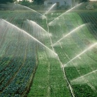 80亩露地蔬菜需要喷灌安装服务